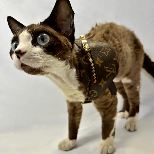Accessories – Petite Pets Fashion